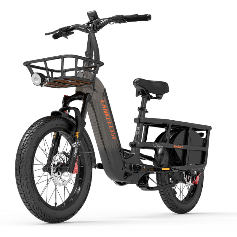 LANKELEISI Wombat-1 bici cargo elettrica grigia