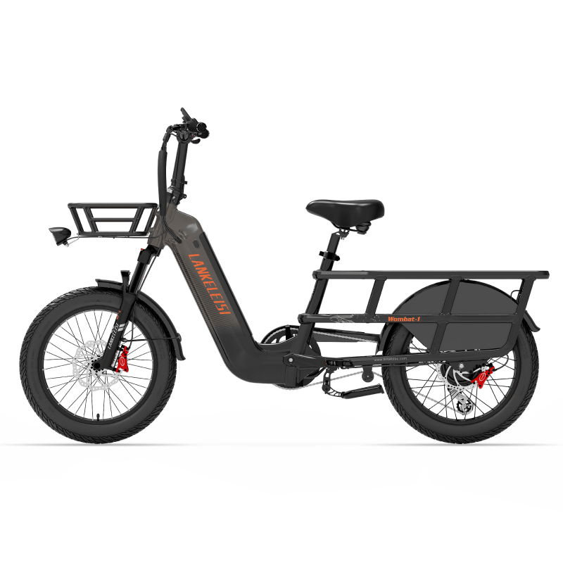 LANKELEISI Wombat-1 1000W Bici elettrica da carico a lunga autonomia
