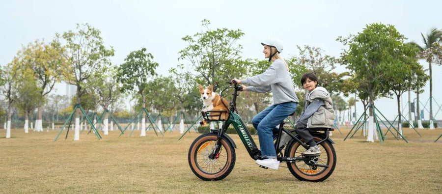 Guida all'acquisto: standard di base per i telai delle biciclette elettriche