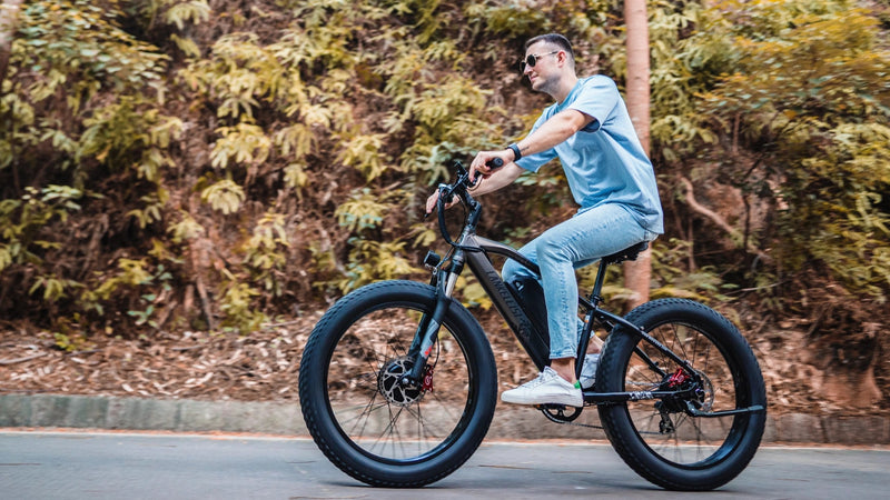 bicicletta elettrica Lankeleisi