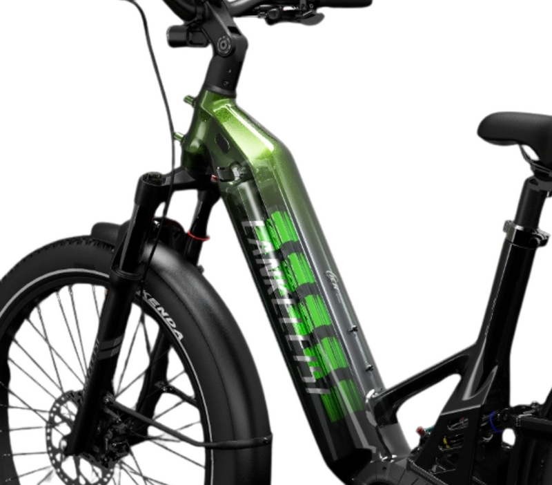 Batteria agli ioni di litio SAMSUNG da 48 V e 20 Ah