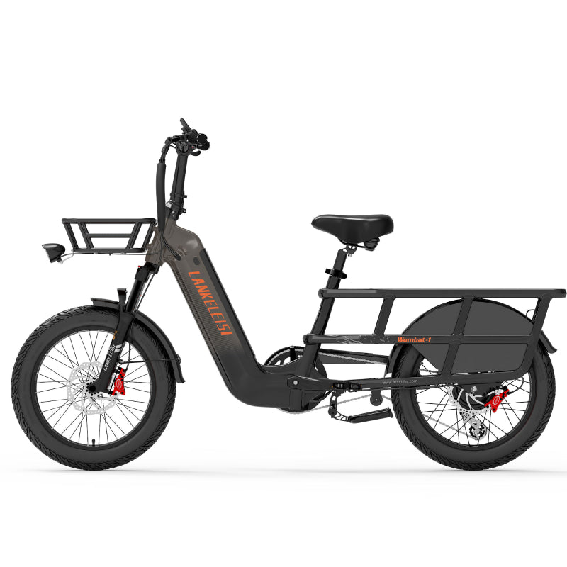 LANKELEISI Wombat-1 1000W Bici elettrica da carico a lunga autonomia