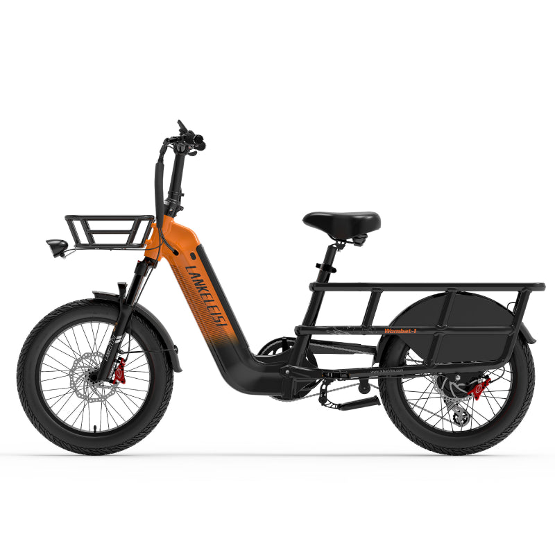LANKELEISI Wombat-1 1000W Bici elettrica da carico a lunga autonomia