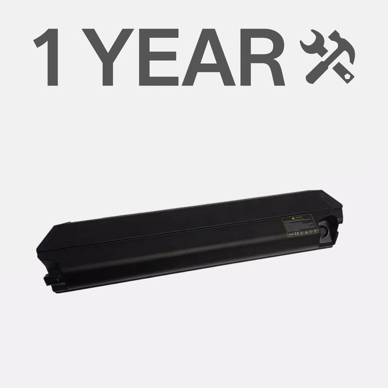 Piano di assistenza batteria estesa di 1 anno