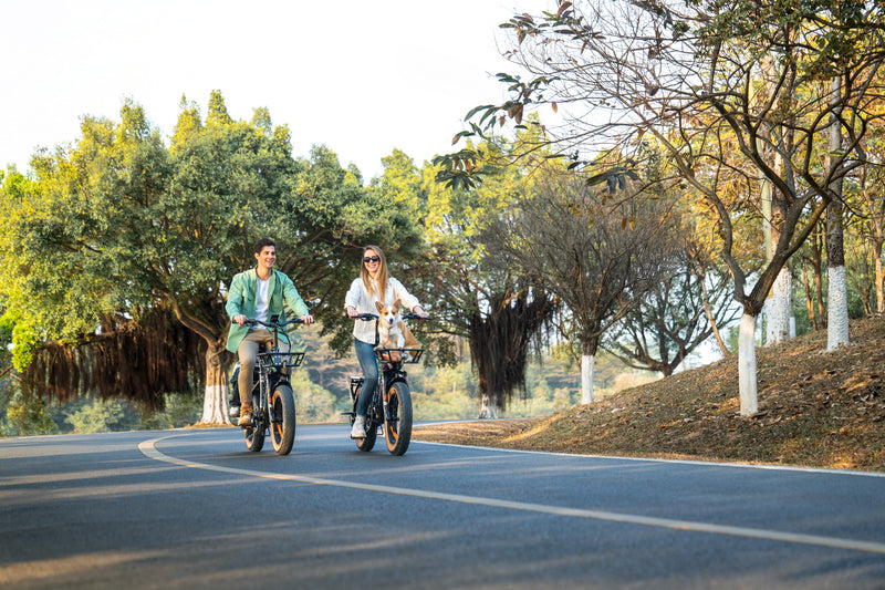 Diventare un punto prova Lankeleisi
