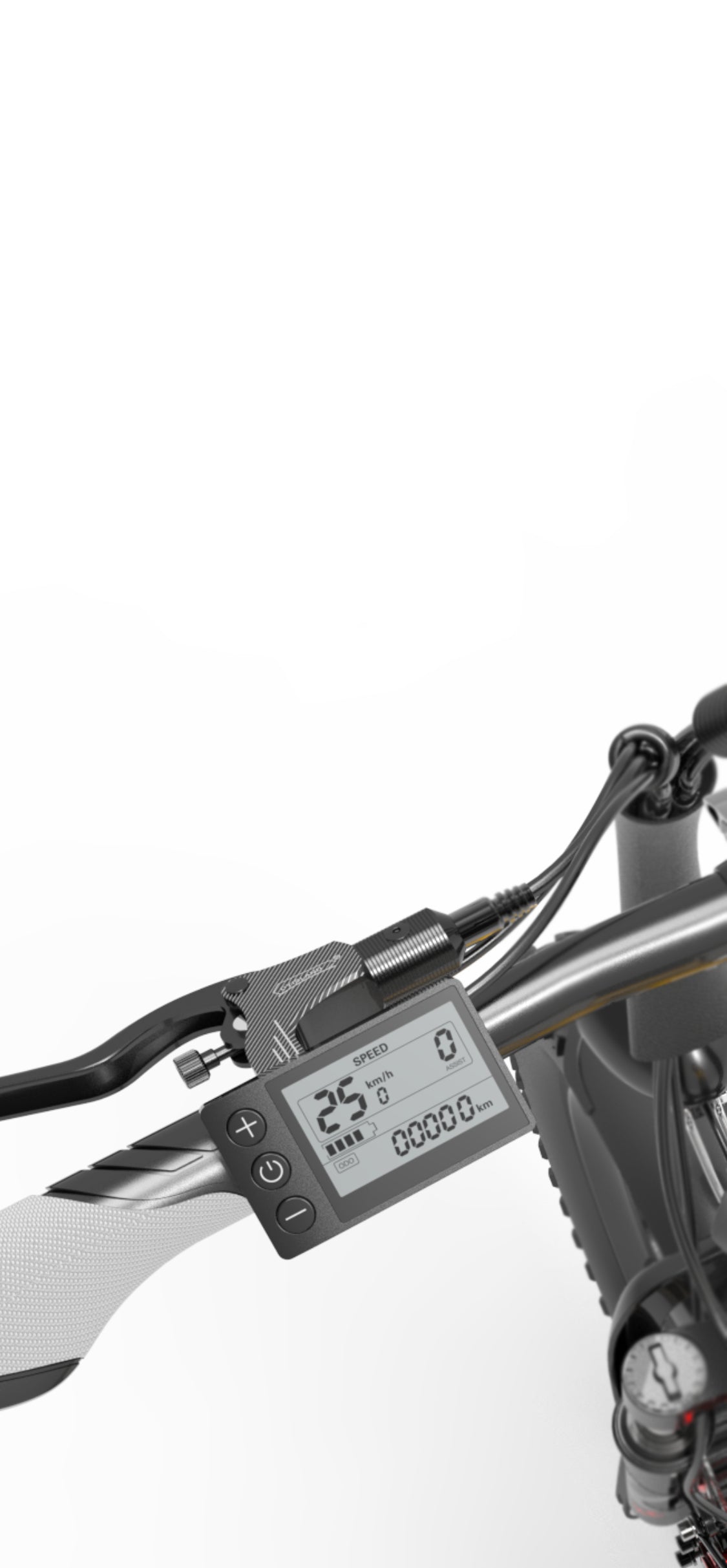 Dotata di display LCD a colori