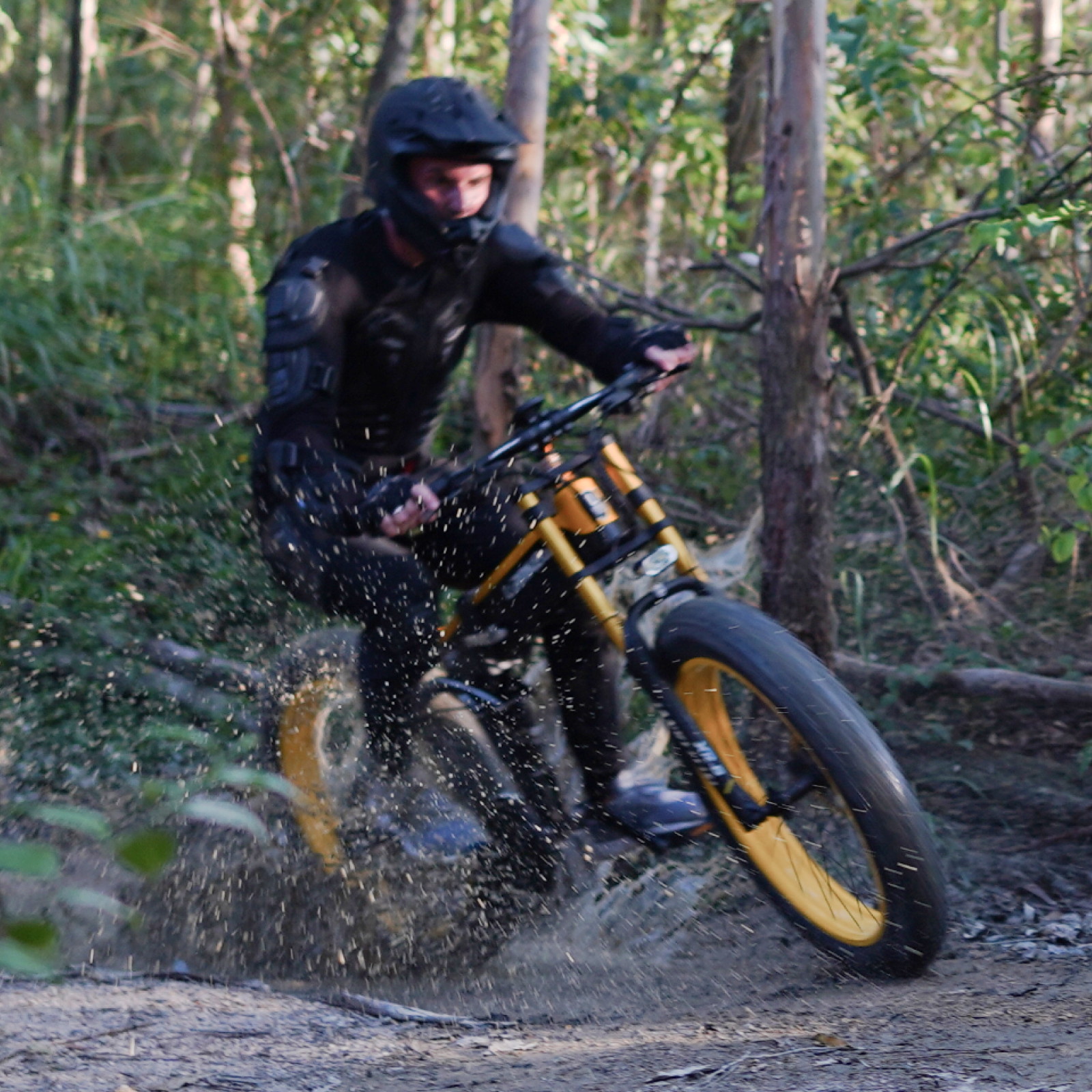 【Pre-vendita】LANKELEISI XT750PLUS