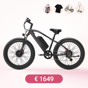 LANKELEISI MG740PLUS Bici elettrica fuoristrada a doppio motore