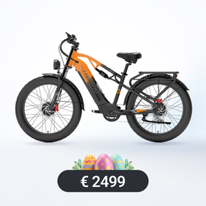 LANKELEISI MG800Max 2000W Doppio Motore 26″ Pneumatici Fat Bici Elettrica All Terrain