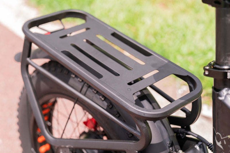 PORTAPACCHI POSTERIORE