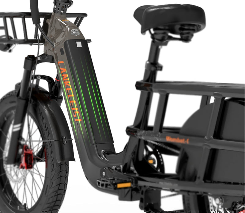 Batteria al litio SAMSUNG da 48 V e 20 Ah