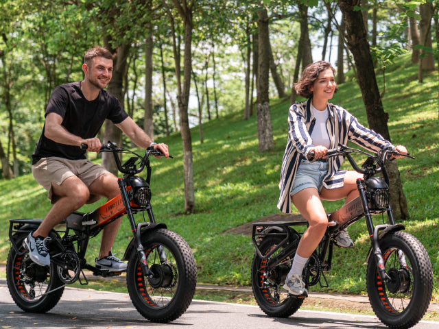 Lankeleisi Bicicletta elettrica